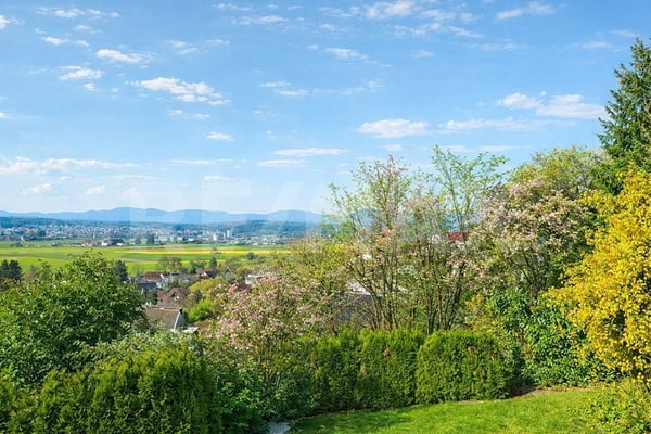 Hirschthal