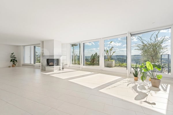 Above Blue Niederrohrdorf - 4.5-Zi.-Attika-Terrassenwohnung mit 180 Panorama & 200 m² Wohnfläche 2