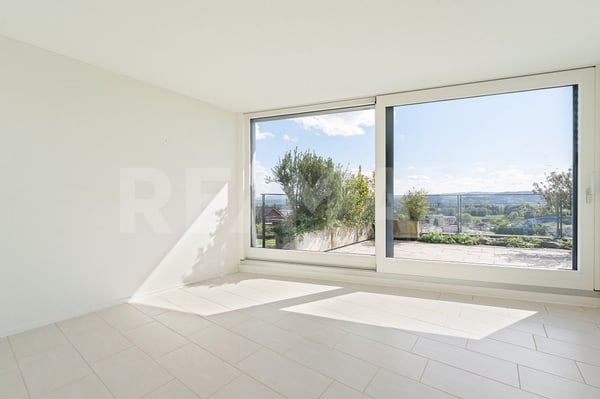 Above Blue Niederrohrdorf - 4.5-Zi.-Attika-Terrassenwohnung mit 180 Panorama & 200 m² Wohnfläche 6