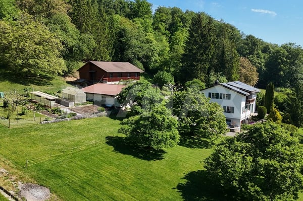 5'933 m² Naturverbunden, autark, frei & ungestört  Ihr persönliches Paradies in Bad Zurzach 3