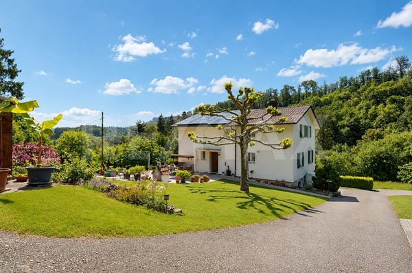5'933 m² Naturverbunden, autark, frei & ungestört  Ihr persönliches Paradies in Bad Zurzach 8