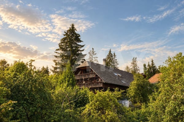 attraktives Bauland zu attraktivem Preis 3