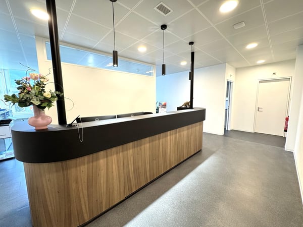 DAMMPARK: Exklusive Bürofläche oder Praxis beim Bahnhof Frick 8