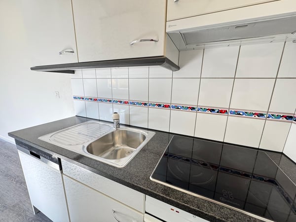 Gemütliche 1-Zimmer-Dachwohnung in Liestal zu vermieten 5