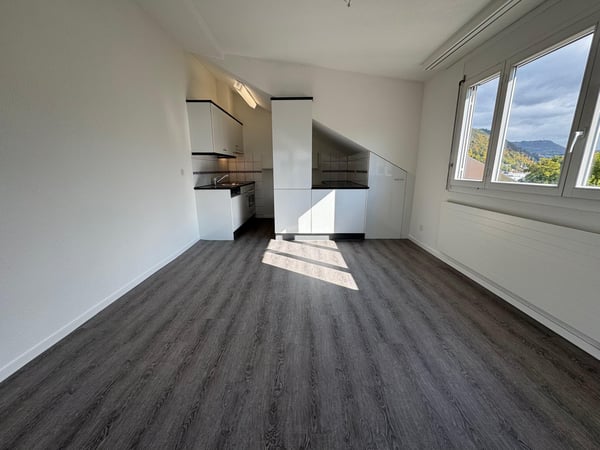 Gemütliche 1-Zimmer-Dachwohnung in Liestal zu vermieten 2