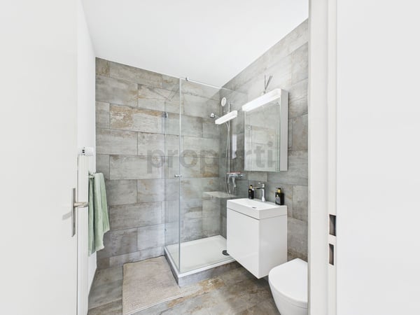 Studio in Solothurn  frisch renoviert, zentral gelegen, mit Gartenanteil zur privaten Nutzung 5