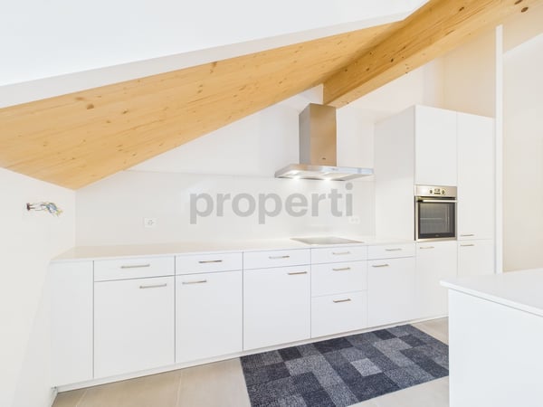 Esclusivo attico 1.5 locali a Biasca - Residenza al Mulino 2