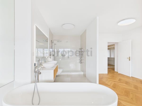 Face au Rhône  Élégance contemporaine et lumière au cSur de Genève 9