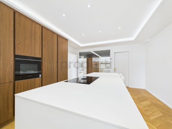 Face au Rhône  Élégance contemporaine et lumière au cSur de Genève 5