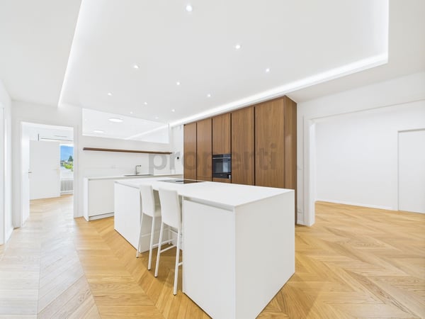 Face au Rhône  Élégance contemporaine et lumière au cSur de Genève 4