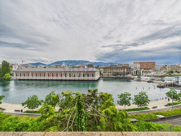 Face au Rhône  Élégance contemporaine et lumière au cSur de Genève 2