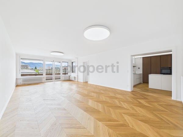 Face au Rhône  Élégance contemporaine et lumière au cSur de Genève 1