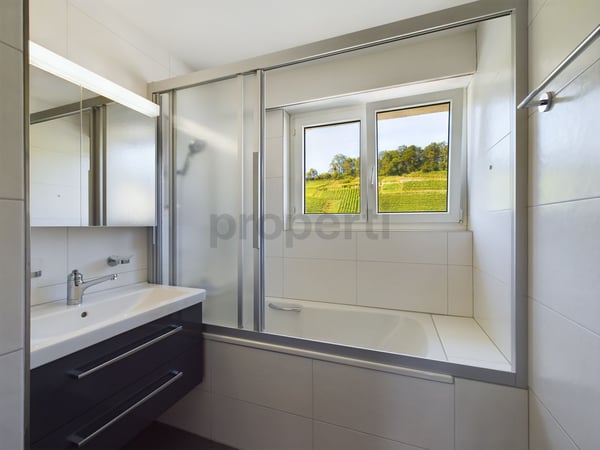 Helle 1-Zimmer-Wohnung in Thal mit traumhafter Terrasse 7