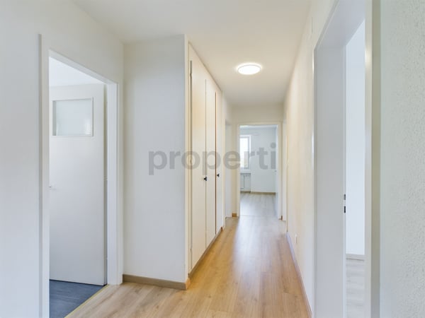 Helle 1-Zimmer-Wohnung in Thal mit traumhafter Terrasse 4