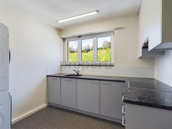 Helle 1-Zimmer-Wohnung in Thal mit traumhafter Terrasse 6