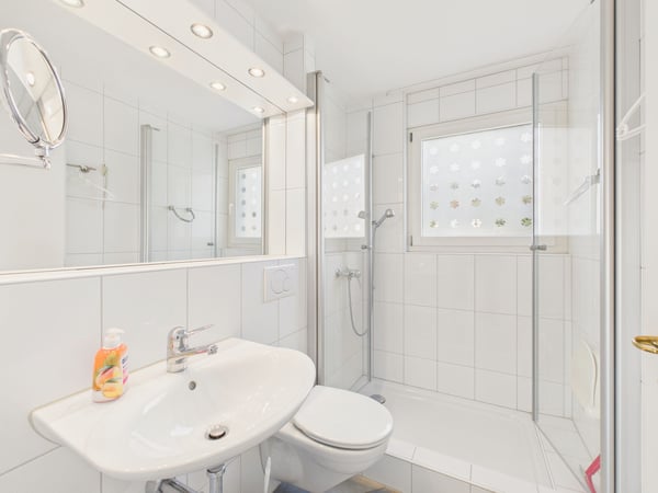 Möblierte 1.5-Zimmer-Attika-Wohnung mit grosser Terrasse und traumhafter Sicht über das Limmattal 8