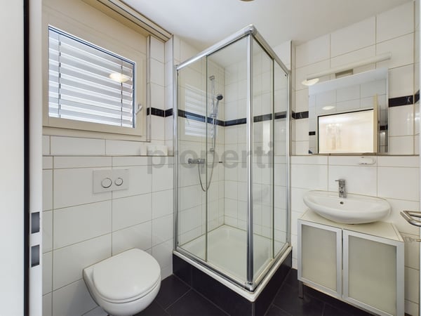 Exklusives 1.5-Zimmer-Reihenhaus in Schlieren 8