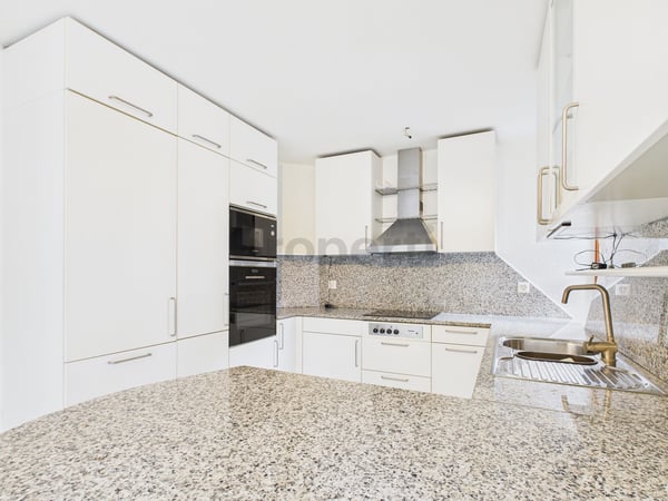 Architektonisches Juwel mit grosser Wohnfläche und einzigartigem Wohnkomfort in Würenlingen - 2.5-Zimmer Reihenhaus 5