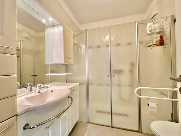 Luminoso appartamento 1.5 in vendita a Molino Novo 9