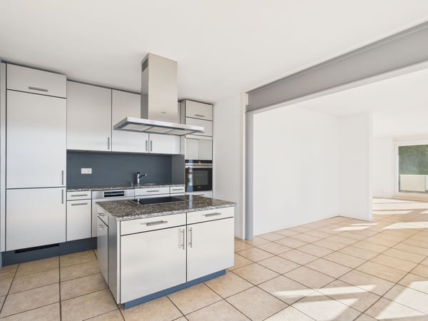 Appartement dexception avec vue panoramique sur le Léman à Montreux (Chernex) 6