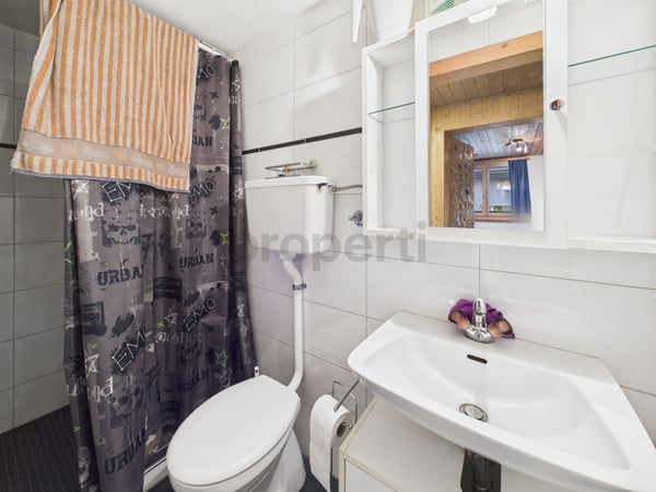 Einzigartiges 1-Zimmer Einfamilienhaus in Lichtensteig, Kanton SG 11