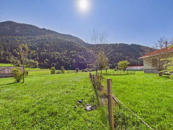 Immeuble de rendement avec 2 appartements, atelier et grand terrain à Noiraigue 8