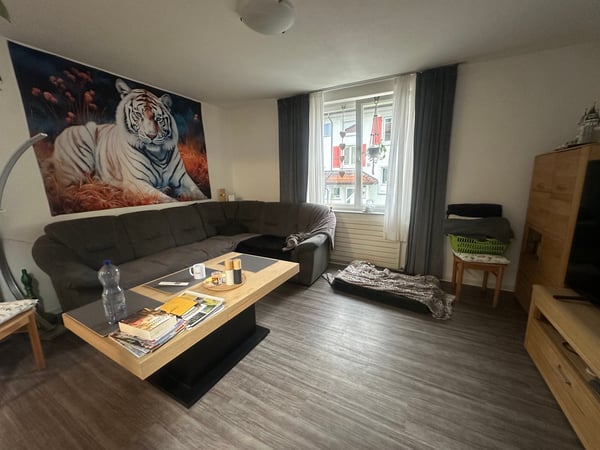 Charmantes Duplexhaus in Schönenwerd 2