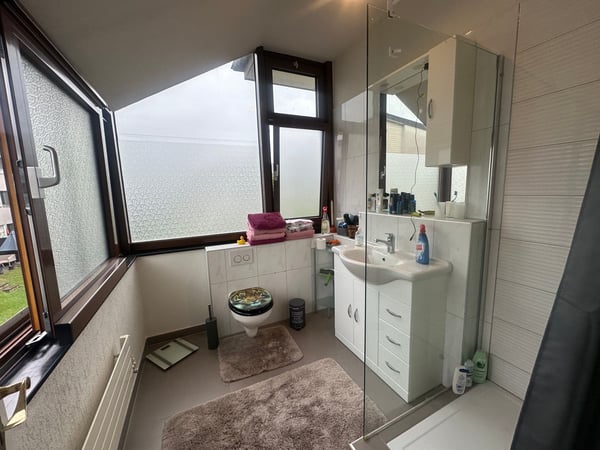 Charmantes Duplexhaus in Schönenwerd 5