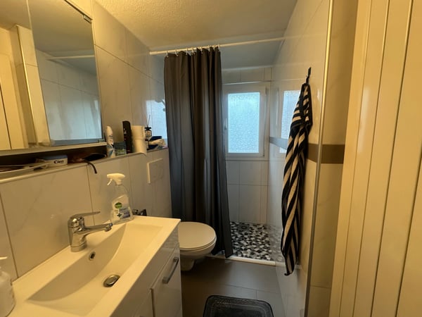 Charmantes Duplexhaus in Schönenwerd 4