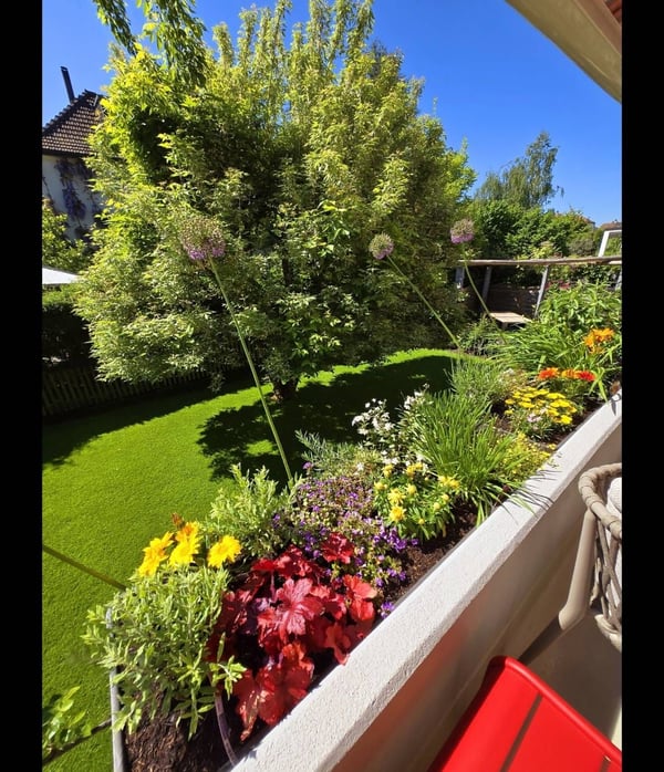 Grosszügiges Einfamilienhaus in Rorschach 12