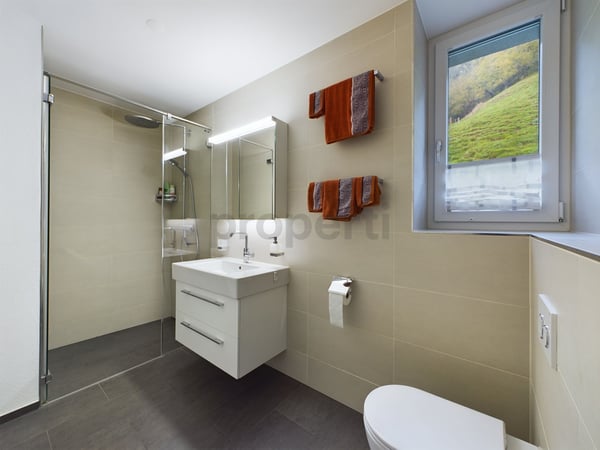 Traumhafte Wohnung in Wolhusen mit 1.5 Zimmern 6