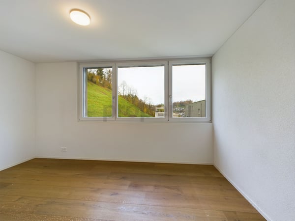 Traumhafte Wohnung in Wolhusen mit 1.5 Zimmern 5