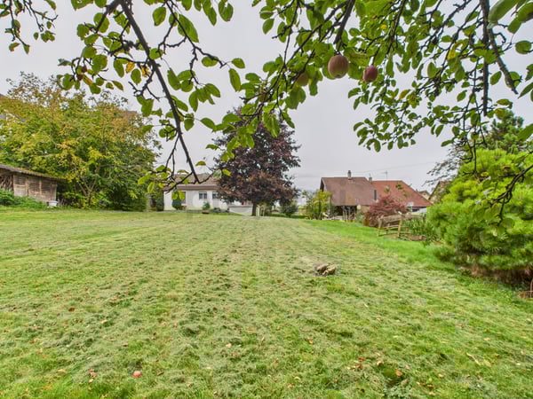 Maison individuelle avec grand terrain à Courgenay 5