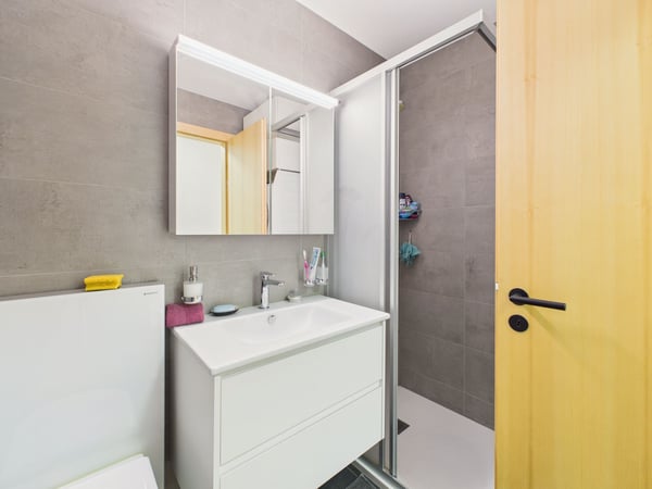 Lumineux apartement de 1.5 pièces avec vue imprenable à Sion (Vissigen) 8