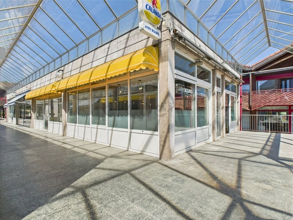 Gewerbefläche mit zwei Einheiten - Surface commerciale avec deux locaux 8