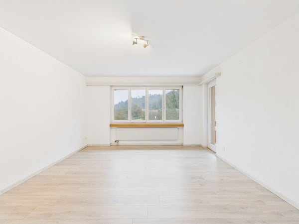 Helle 1.5-Zimmer Wohnung mit Balkon in Fisibach 2