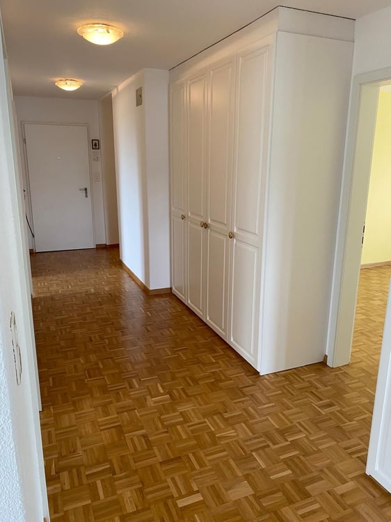 Traumhafte 1.5-Zimmer Wohnung mit Seesicht in Steckborn, Kanton TG 2