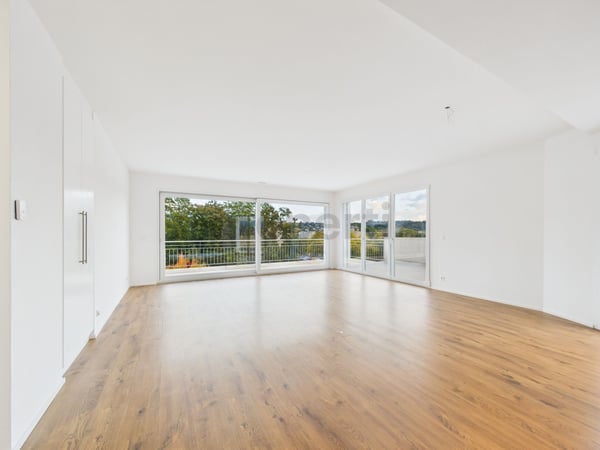 Attique d'exception, 1.5p, 19m², dernier étage   avec terrasse de 95m² + vue dégagée et grand garage box 4