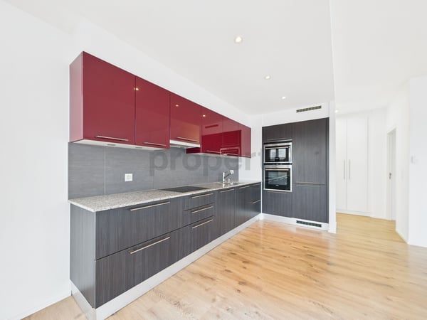 Attique d'exception, 1.5p, 19m², dernier étage   avec terrasse de 95m² + vue dégagée et grand garage box 7