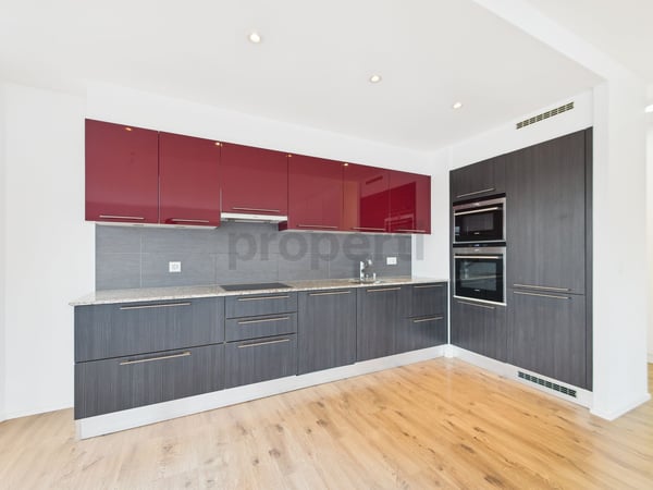 Attique d'exception, 1.5p, 19m², dernier étage   avec terrasse de 95m² + vue dégagée et grand garage box 5