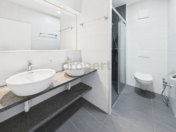 Attique d'exception, 1.5p, 19m², dernier étage   avec terrasse de 95m² + vue dégagée et grand garage box 10