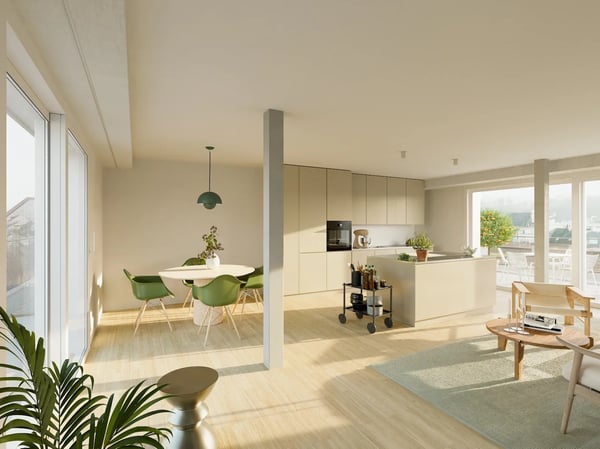 Moderne 1.5-Zimmer-Attikawohnung in Basel 2