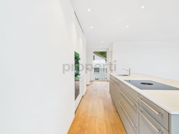 Modernes Wohnen in Root - 1.5.- Zimmer-Attika-Wohnung 4