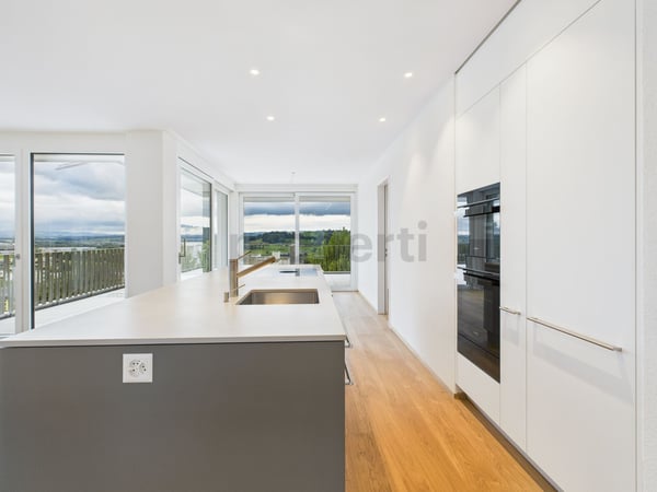 Modernes Wohnen in Root - 1.5.- Zimmer-Attika-Wohnung 2