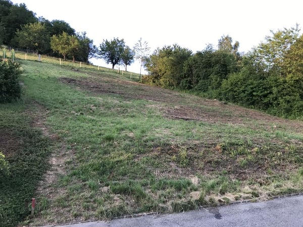 Attraktives Baugrundstück an sonniger Lage in Rothenfluh (BL) 4