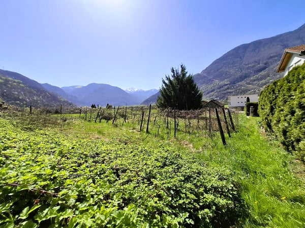 Terreno edificabile con potenziale a Claro, TI - 790 m2 5