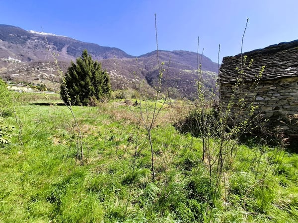 Terreno edificabile con potenziale a Claro, TI - 790 m2 2