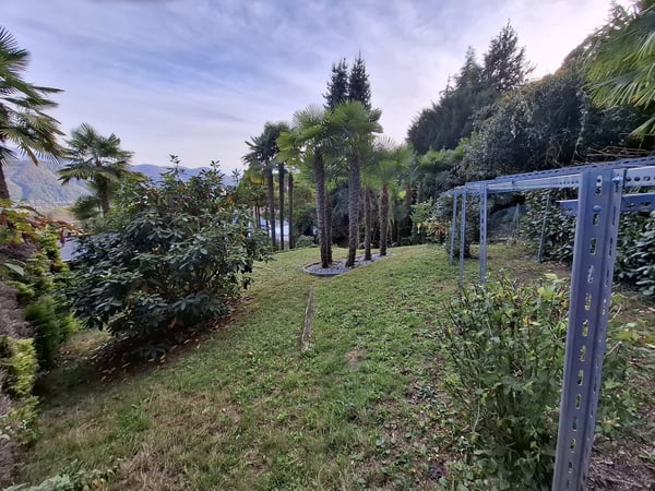 Terreno edificabile con vista lago e accesso privato  posizione esclusiva vicino al Lago di Lugano 8