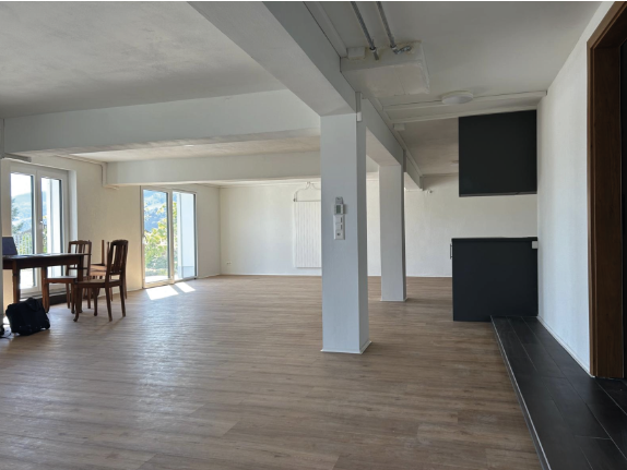 Attraktive Neubau Loft Wohnung in Luzern 4