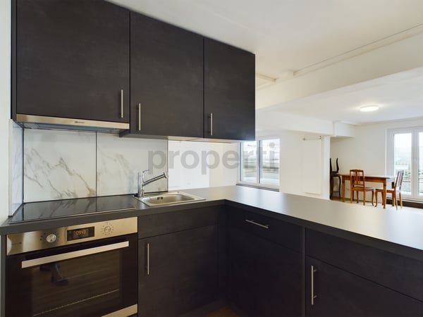 Attraktive Neubau Loft Wohnung in Luzern 7